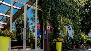 A building entrance with a glass facade, a red carpet, and potted plants.