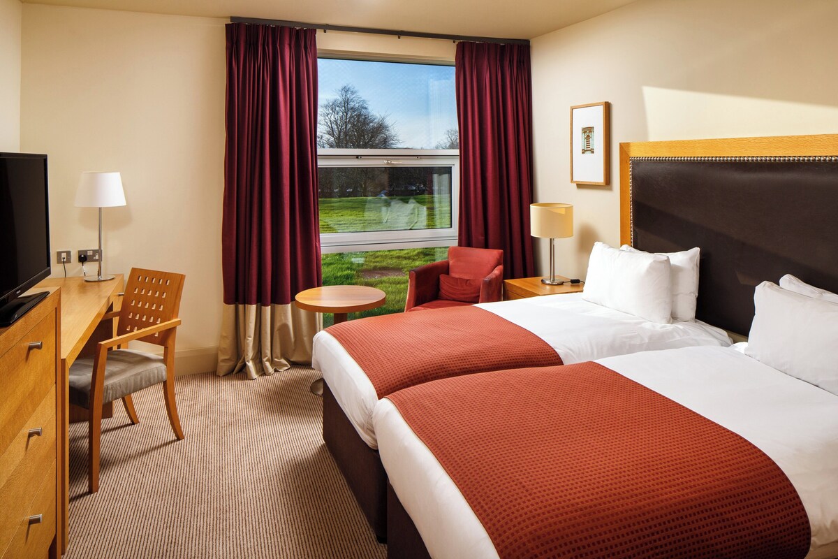 A hotel room with a bed, a desk, a chair, a TV, a lamp, and a window with curtains.