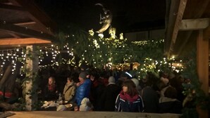 A crowded outdoor area with people gathered around a decorated tree.