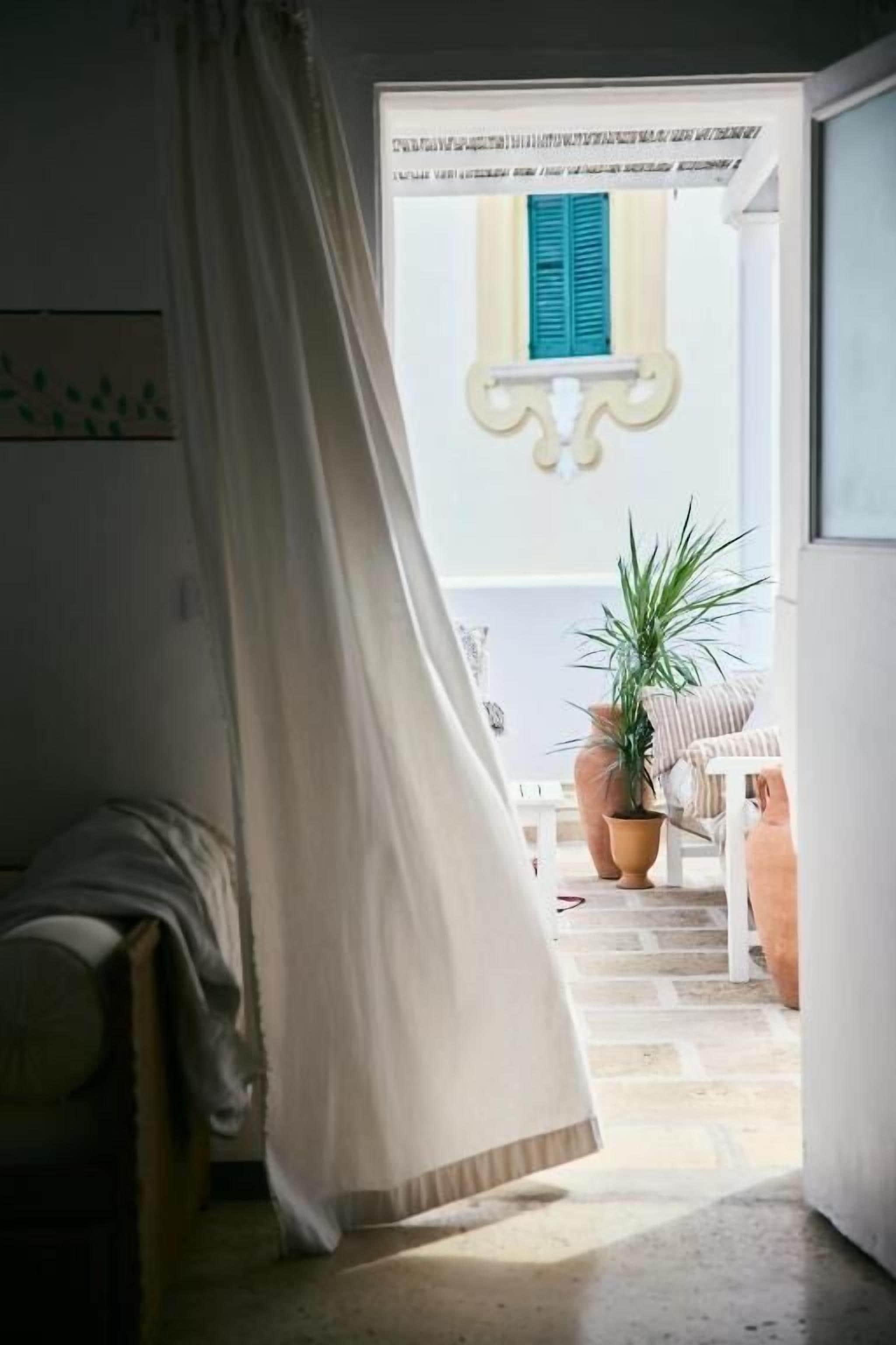 Une pièce avec un lit, une fenêtre avec des volets bleus, une plante en pot et un escalier menant à l’extérieur.