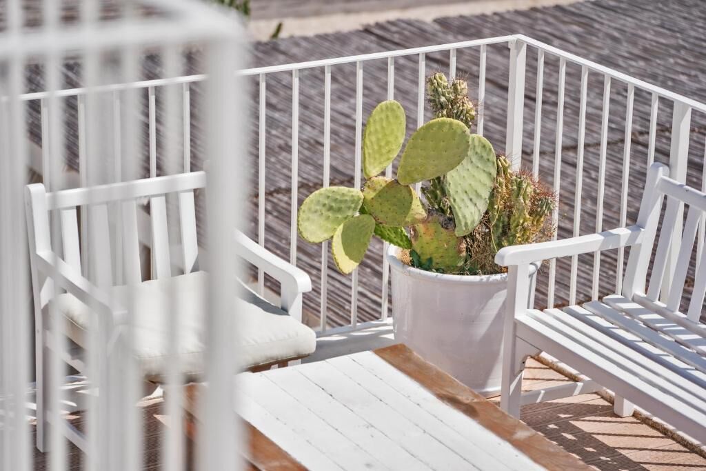 Een witte houten bank en een cactus in een pot op een houten terras.