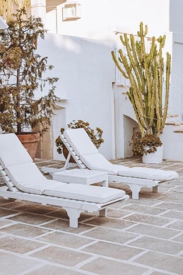 Two white lounge chairs with cushions, a large cactus, and a potted plant in a courtyard with white walls and stone flooring.