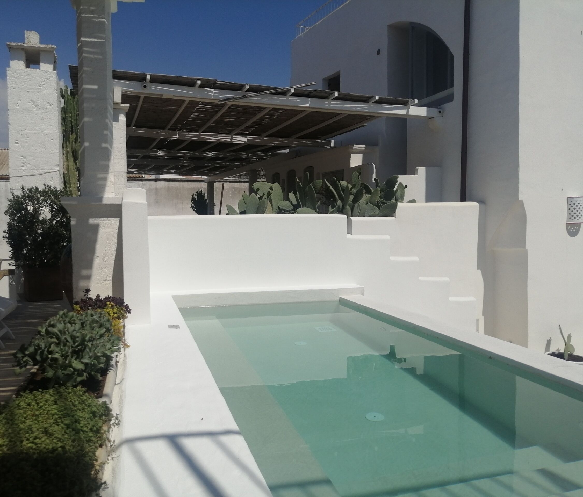 outdoor pool, pool loungers