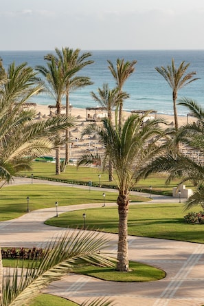 A landscaped area with palm trees, a pathway, and a view of the beach and ocean.
