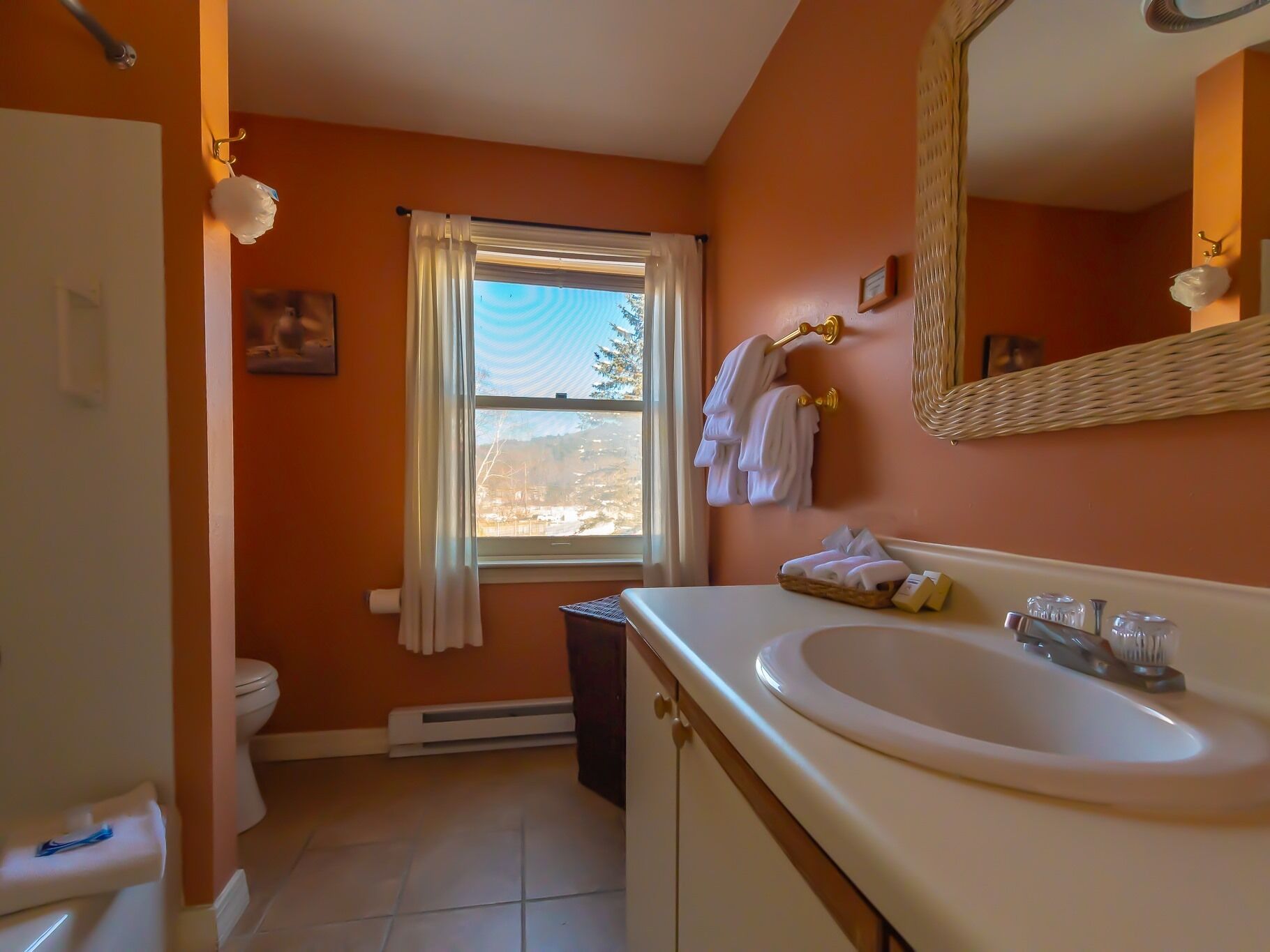 A bathroom with a white sink, a toilet, and a window with curtains.
