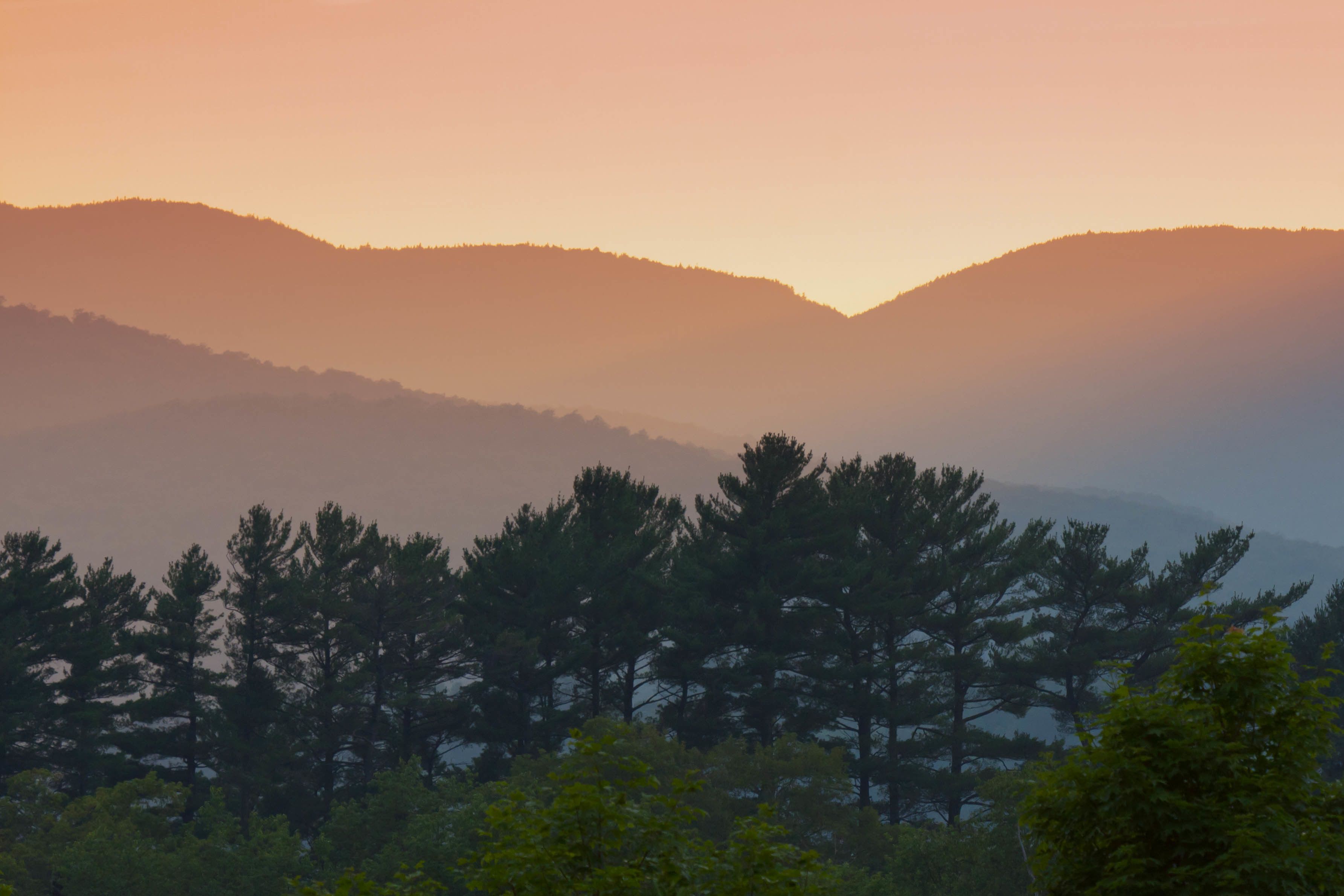 A mountainous landscape with dense forests.