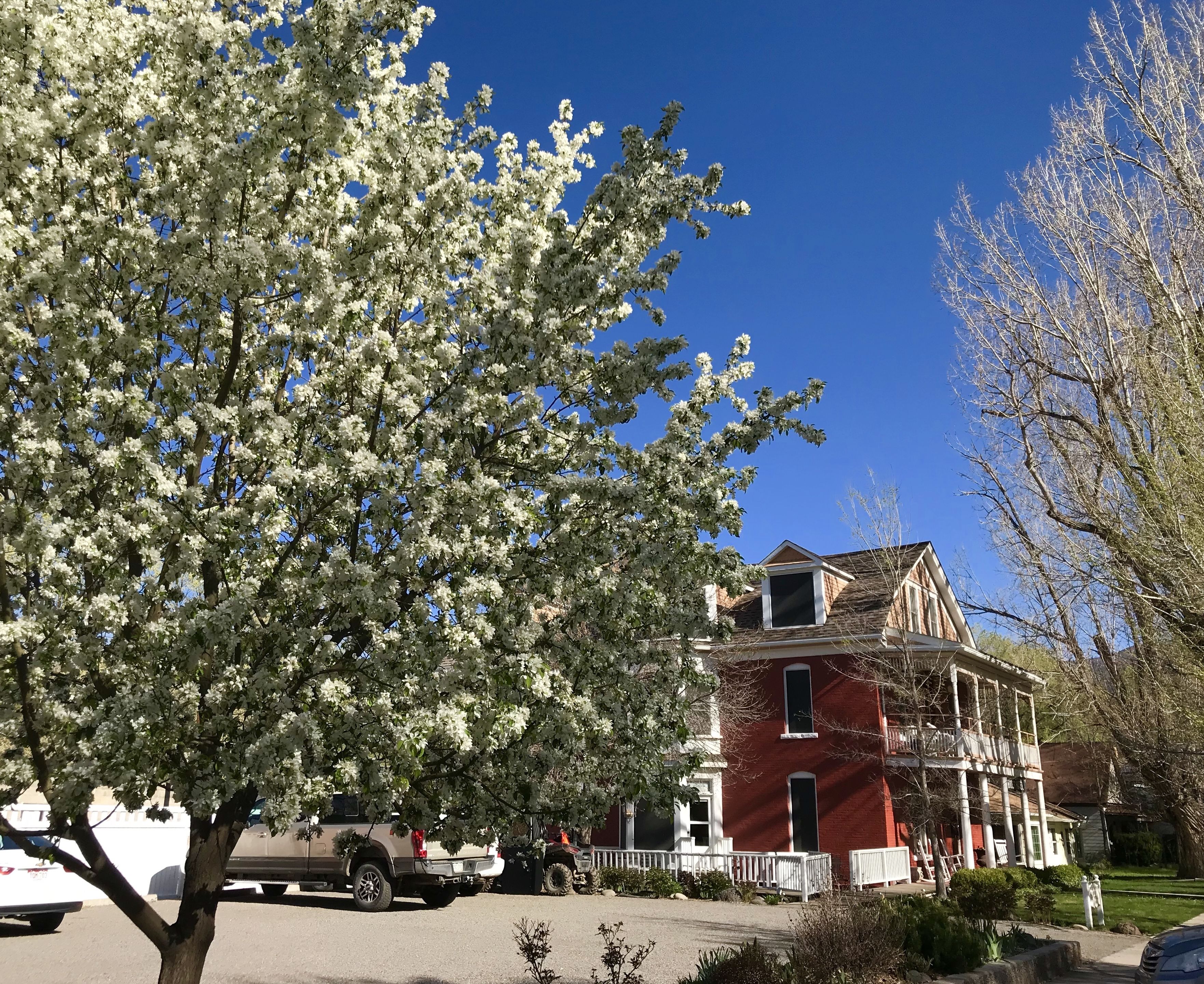 Un edificio de dos pisos con fachada roja y detalles blancos, rodeado de árboles con flores blancas.