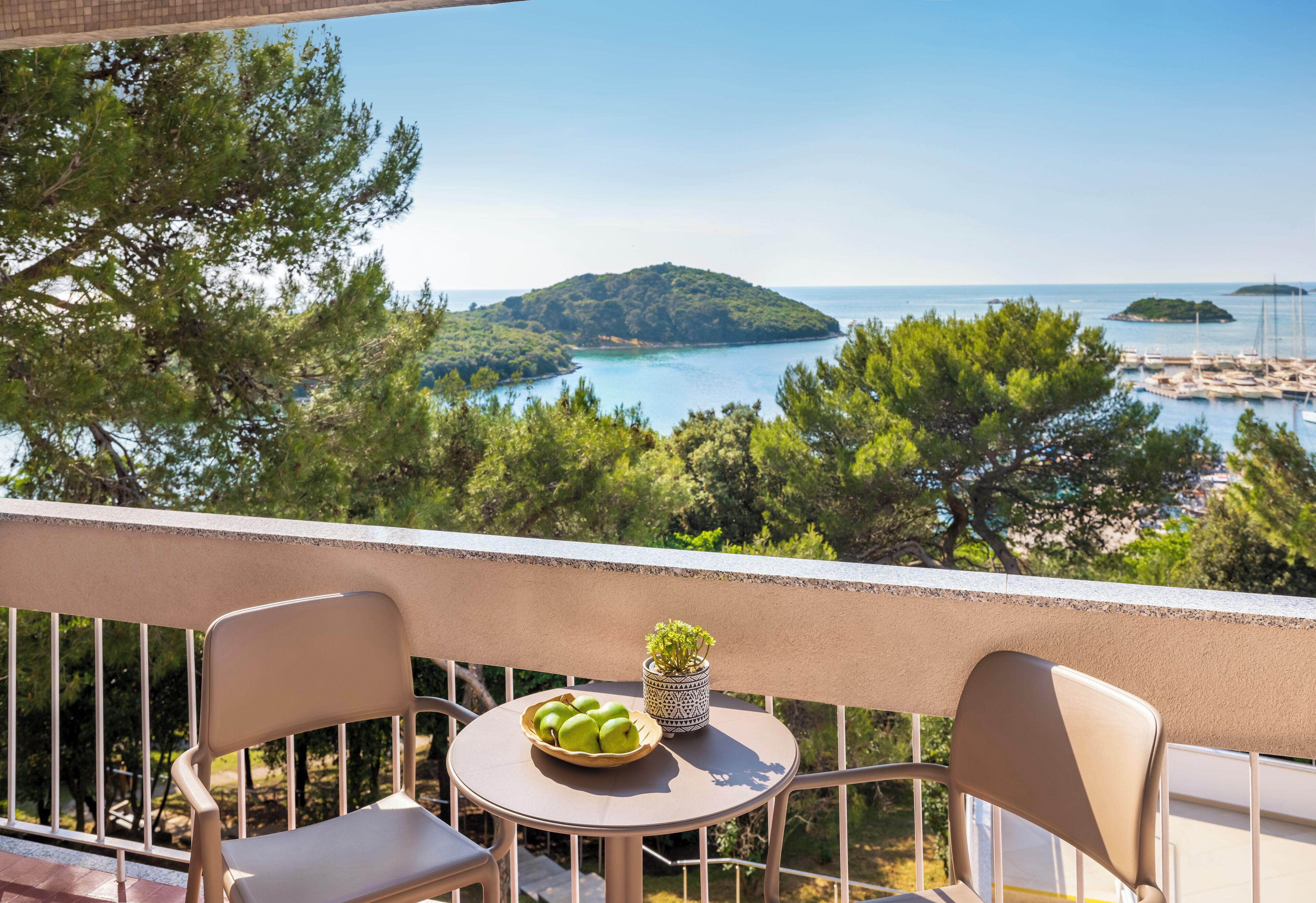 尊荣双人房, 阳台, 临海 | 露台