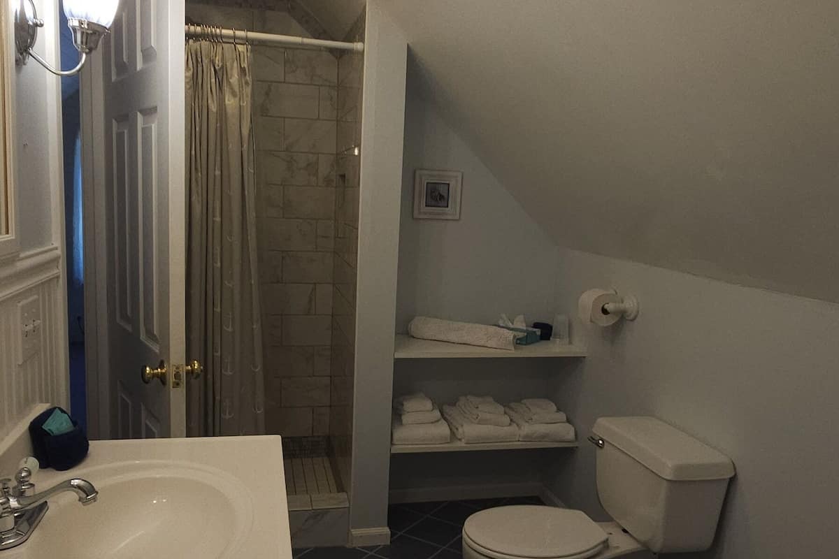 Set di cortesia gratuito, asciugacapelli, asciugamani, sapone