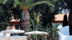 Zona de piscina con dos sillas de descanso, un flotador salvavidas y una palmera.