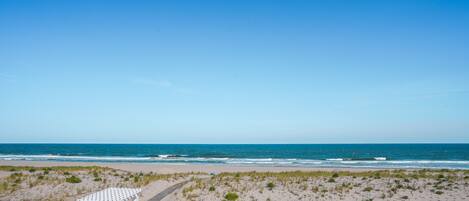 Outdoor wedding area