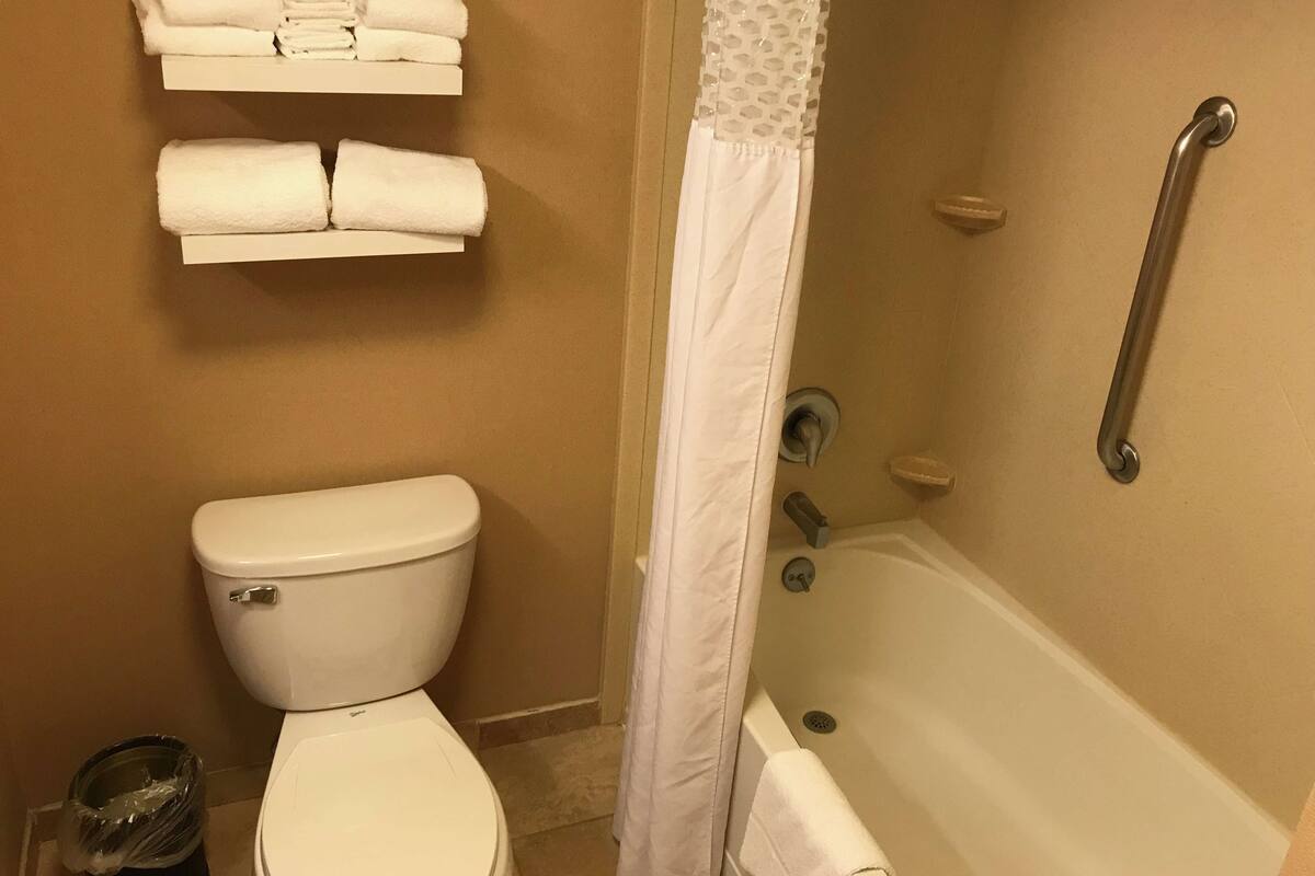 A bathroom with a toilet, a bathtub, and a shower curtain.