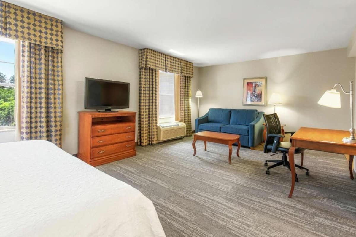 Une chambre d’hôtel équipée d’un lit, d’une télévision, d’un canapé, d’un bureau, d’une chaise et d’une fenêtre avec des rideaux.