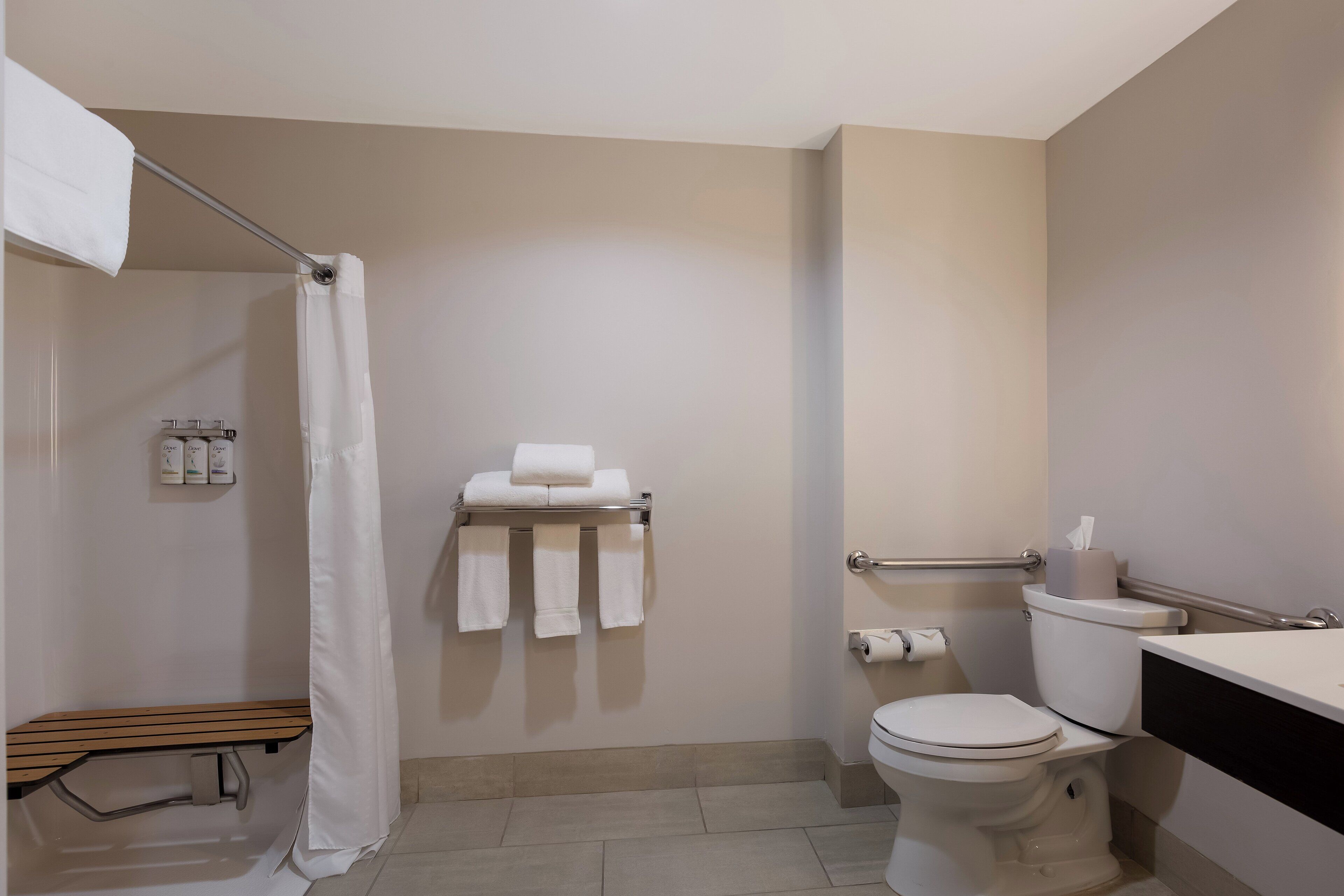 standard room, 1 king bed, accessible (comm mobil acc roll in shwr) | bathroom | free toiletries, hair dryer, towels