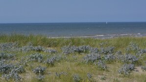 A coastal landscape with a sandy beach, grassy dunes, and a clear blue sky. - Fletcher Boutique Hotel Duinoord (Wassenaar)