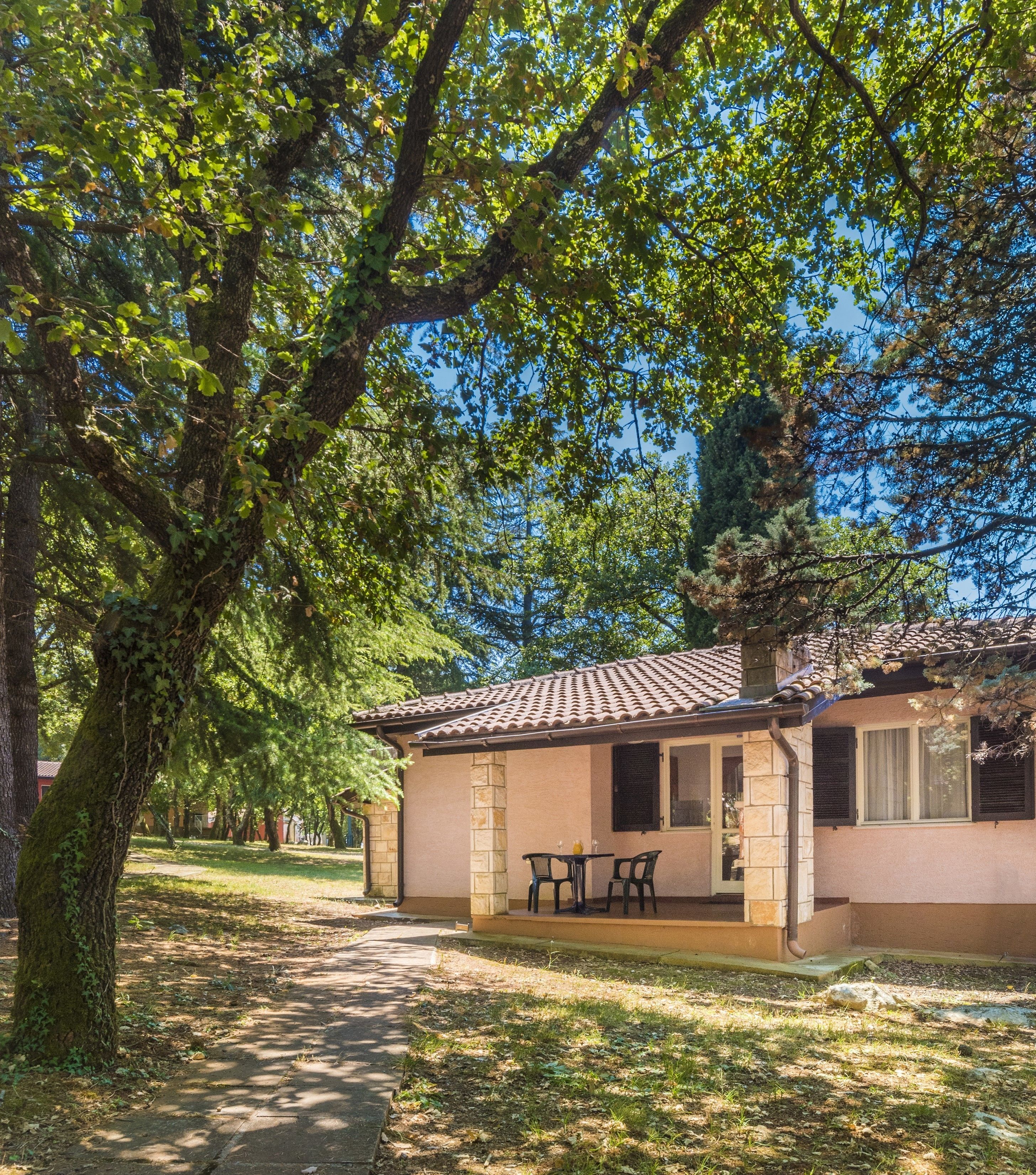 Une maison de plain-pied avec un toit en tuiles, une terrasse avec une table et des chaises, et un grand arbre au premier plan.