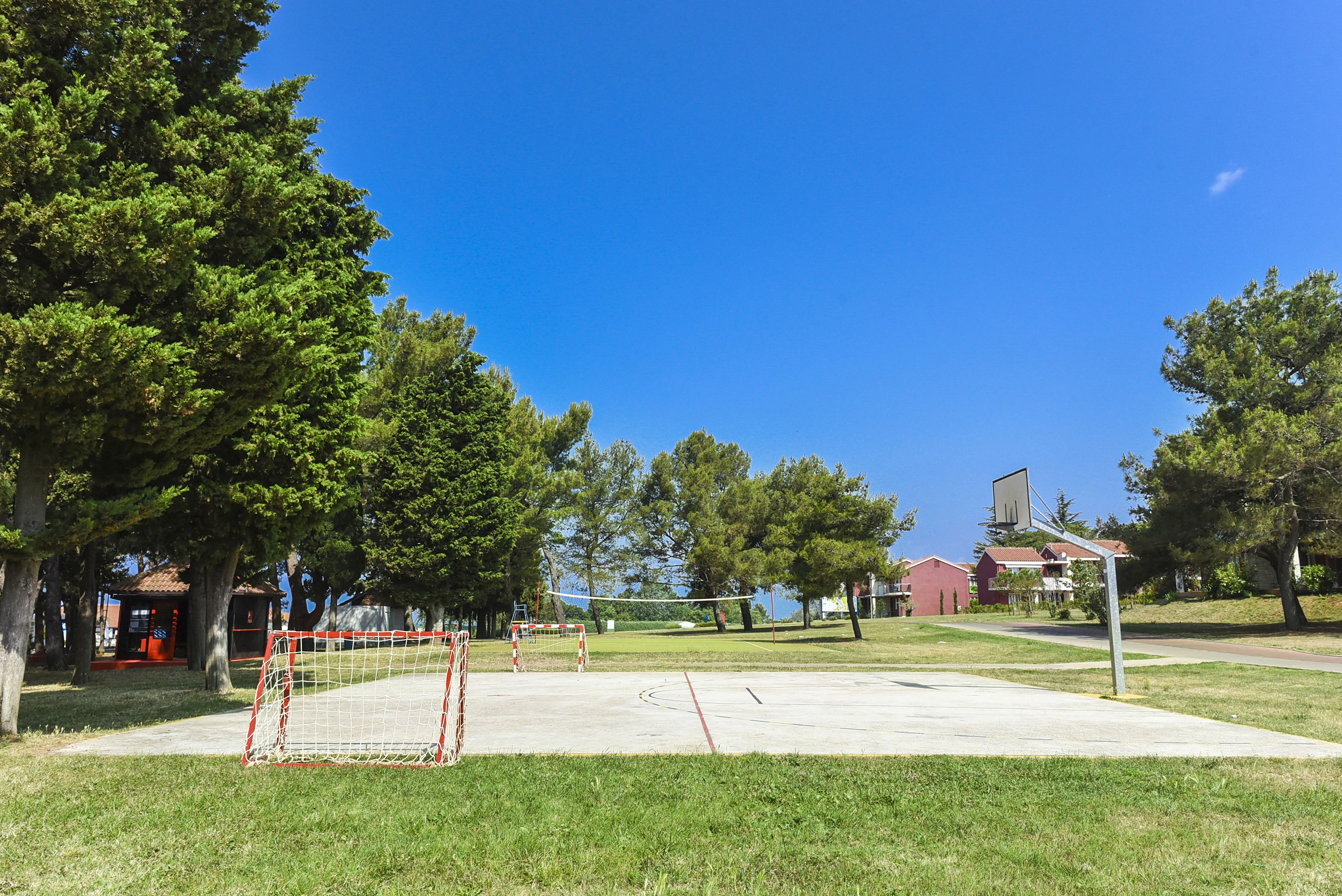 Ein Basketballplatz im Freien mit Korb, umgeben von Bäumen und blauem Himmel.