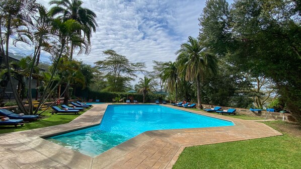 Outdoor pool, pool umbrellas, pool loungers