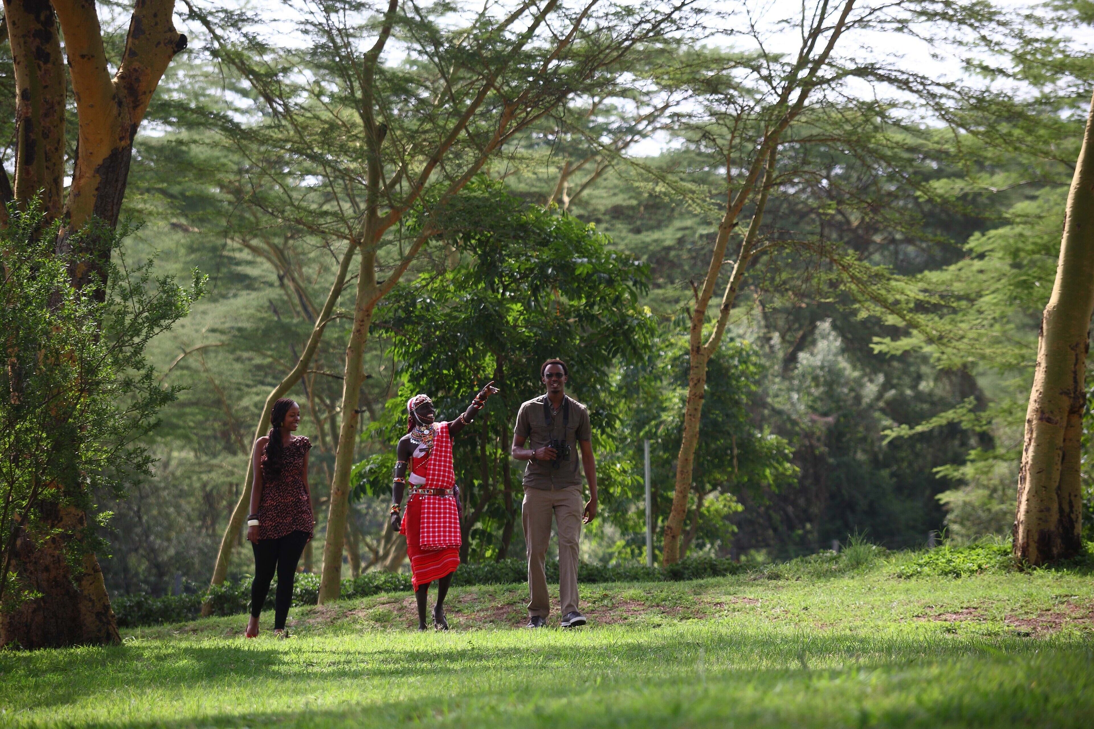 Photo - Sarova Lion Hill Game Lodge