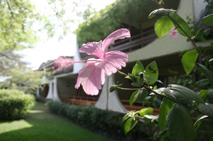 Jardim