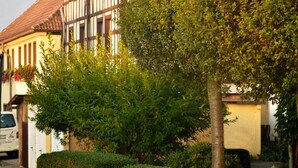 Un edificio tradicional de entramado madera con techo de tejas rojas, rodeado de setos cuidados y un árbol.