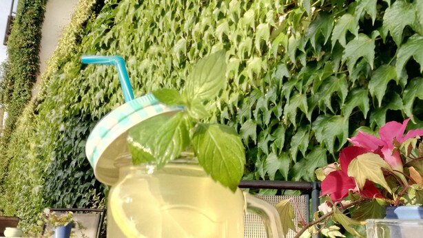 A clear glass pitcher with a mint leaf garnish, placed on a textured outdoor table. - Adler Golf-& Tagungshotel (Harth-Poellnitz)