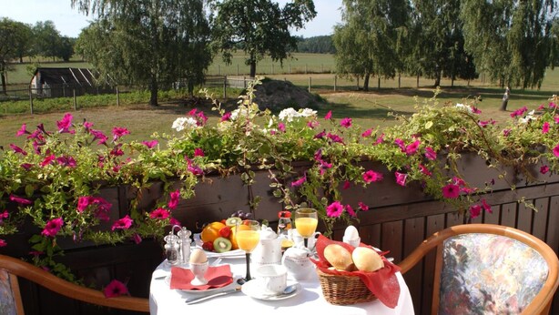 Una mesa servida con alimentos para el desayuno, como huevos, fruta y jugo, en un balcón con vistas a un paisaje rural.