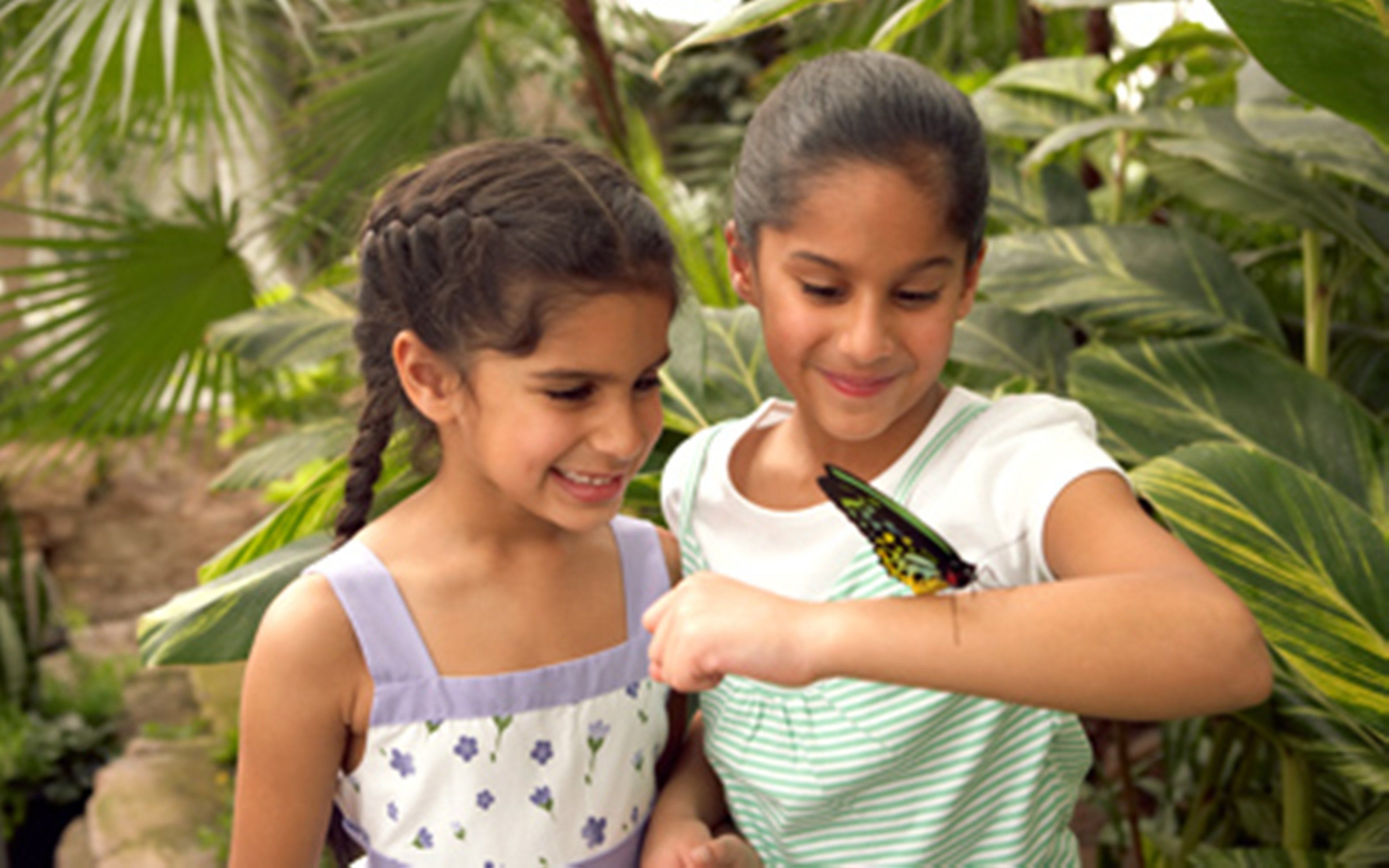 Foto - Holiday Inn Niagara Falls-By the Falls by IHG