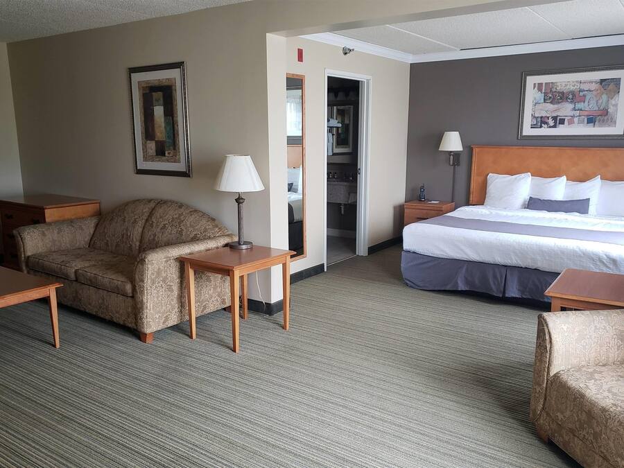 Una habitación de hotel con una cama, dos sofás, una mesa, una lámpara y un cuadro en la pared.