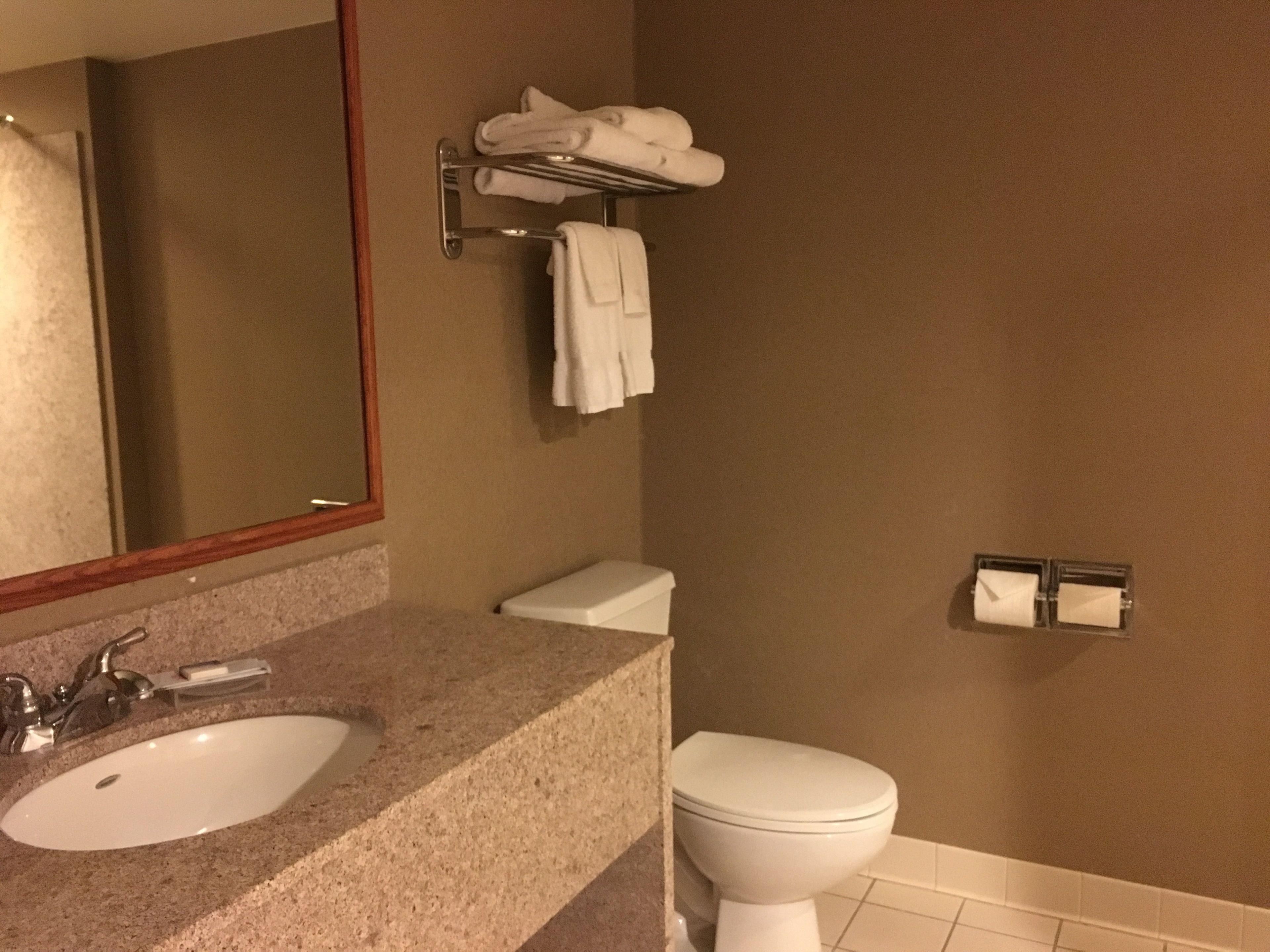 Un bagno con lavandino, WC e porta asciugamani.