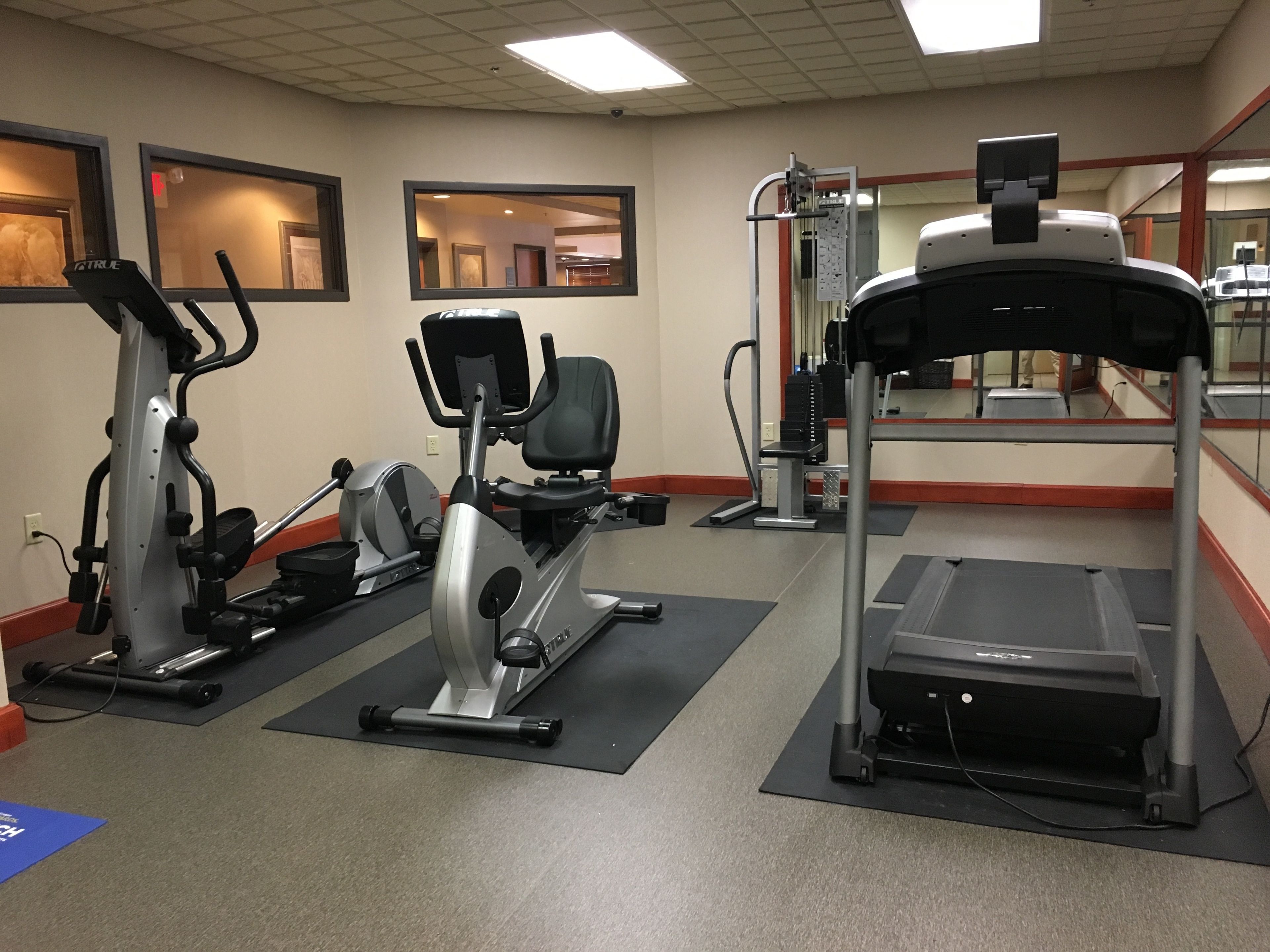 Un gimnasio con diverso equipo de ejercicio, como cintas de correr, bicicletas estáticas y máquinas de pesas.