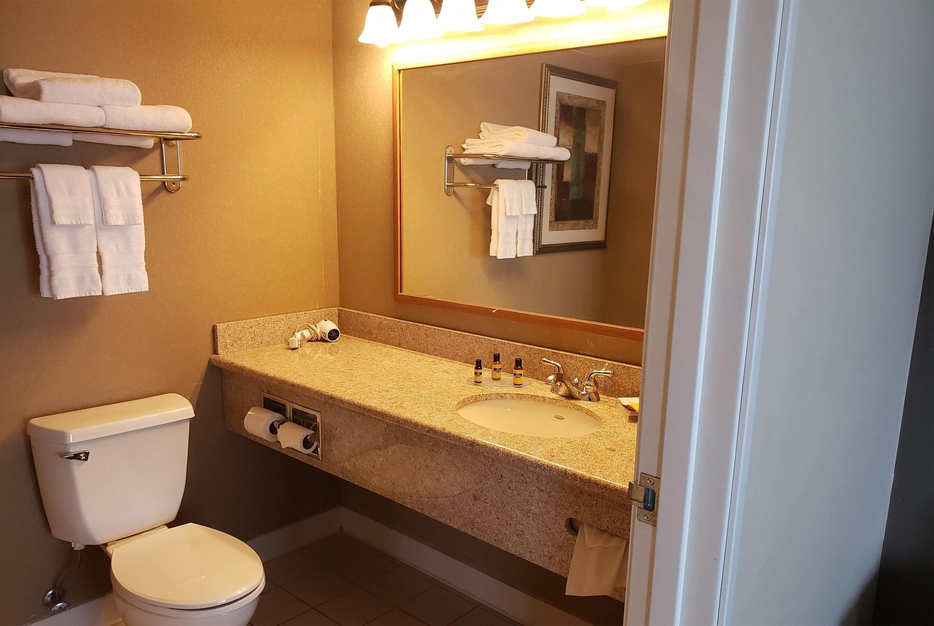 A bathroom with a toilet, sink, and towel rack.