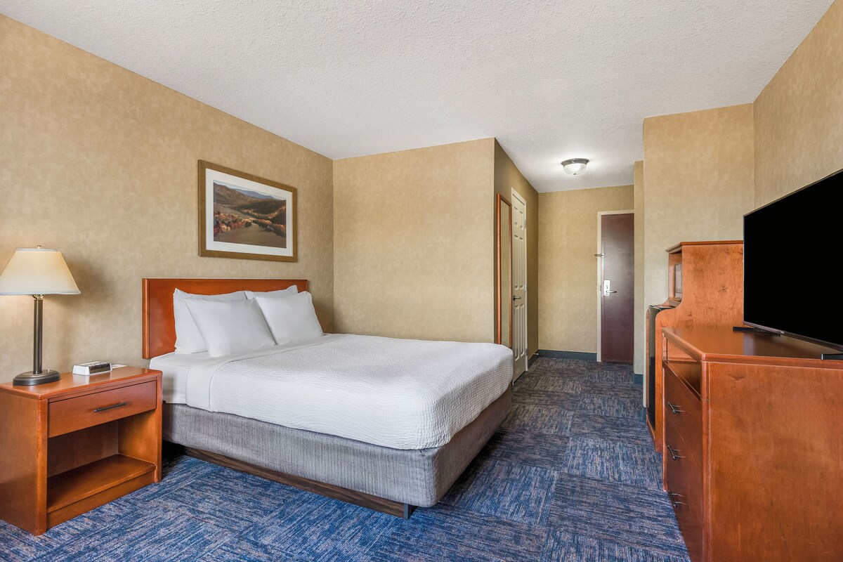 A hotel room with a bed, a desk with a lamp, a television, and a painting on the wall.