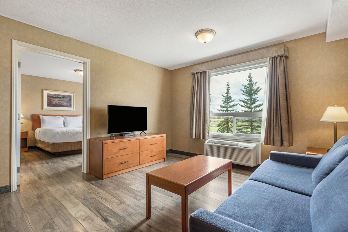 A hotel room with a bed, a television on a wooden dresser, a sofa, a table, and a window with a view of trees.