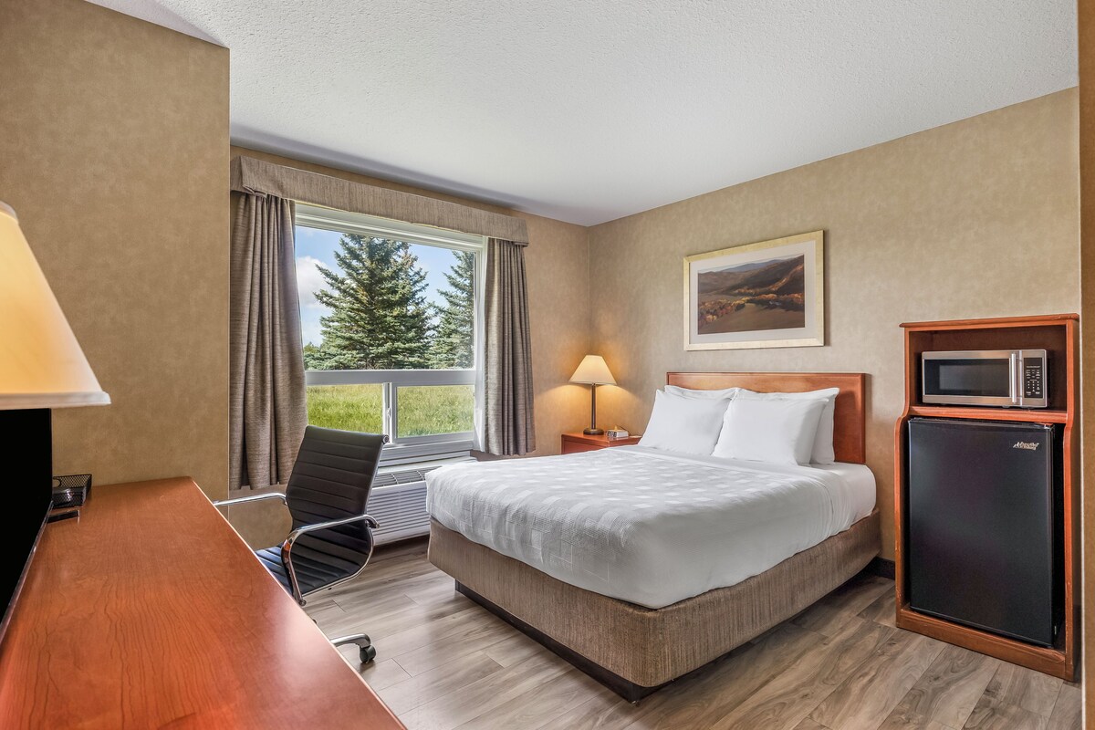 A hotel room with a bed, desk, chair, lamp, and a refrigerator.
