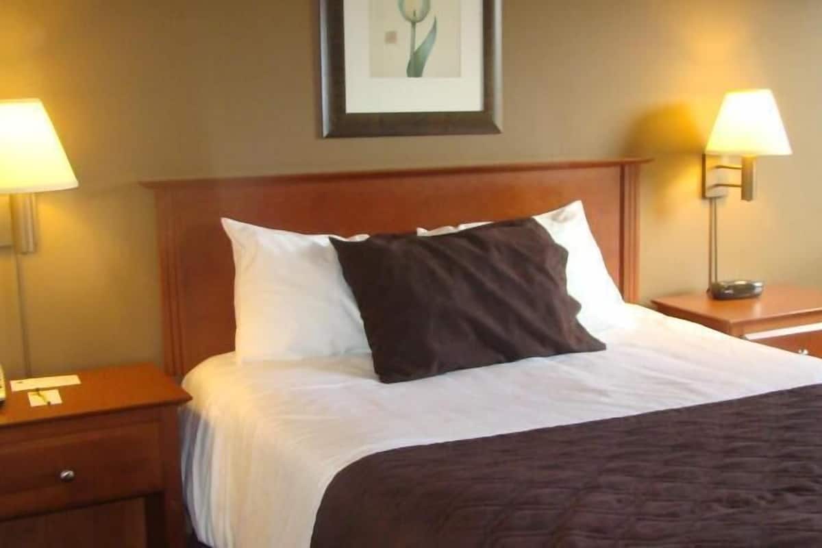 Desk, iron/ironing board, free WiFi, bed sheets