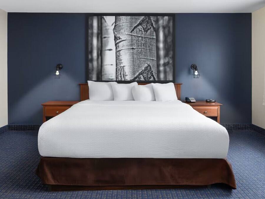 A hotel room with a large bed, a dark blue wall, and a framed artwork above the bed.