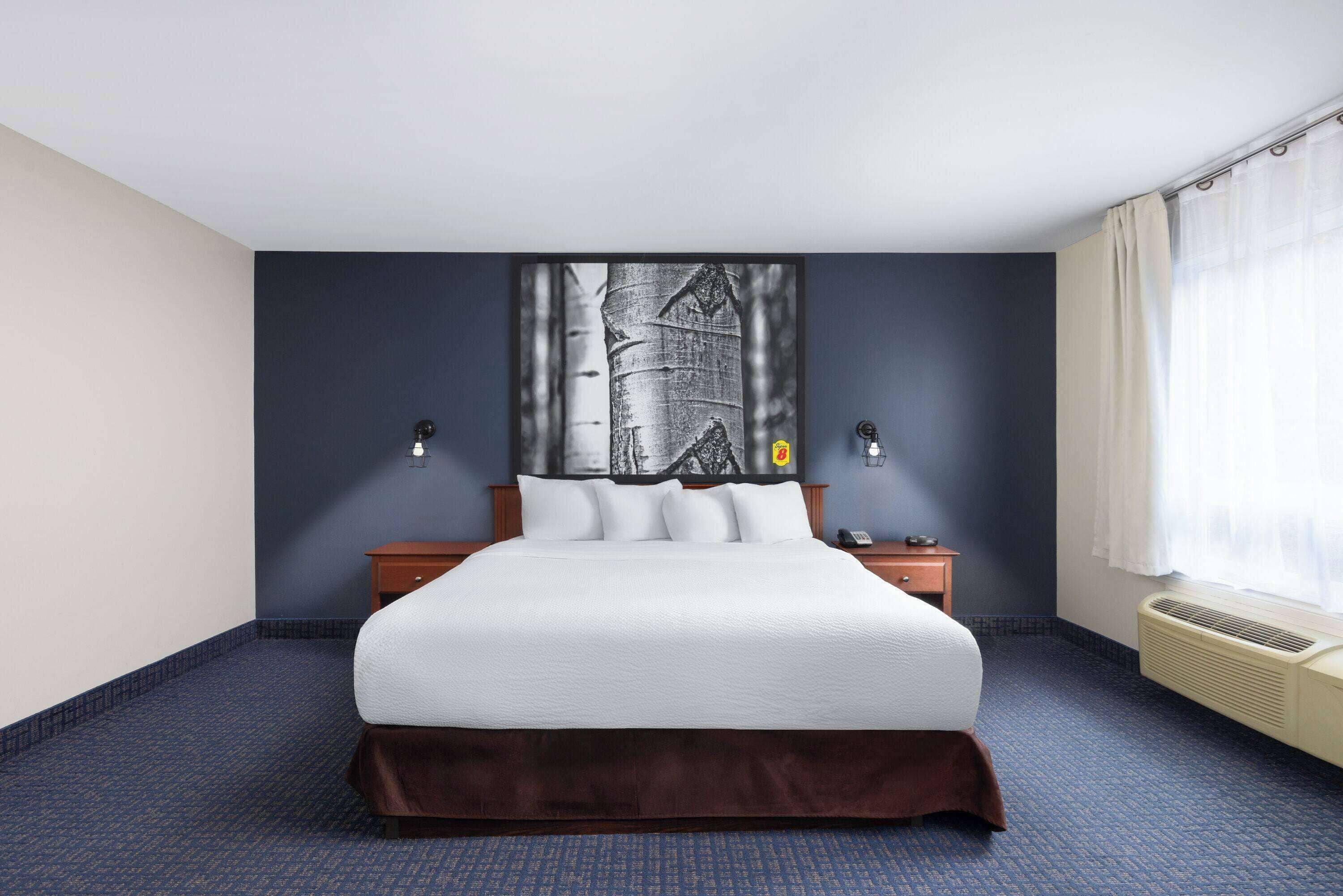 upgraded, suite, 1 king bed with sofa bed | jetted bathtub