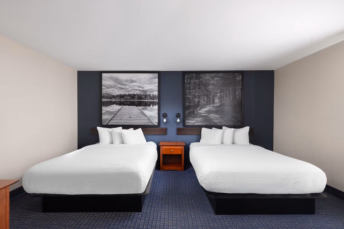 Comfort-Suite | Bügeleisen/Bügelbrett, kostenloses WLAN, Bettwäsche