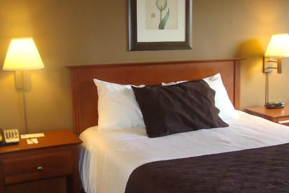 Desk, iron/ironing board, free WiFi, bed sheets