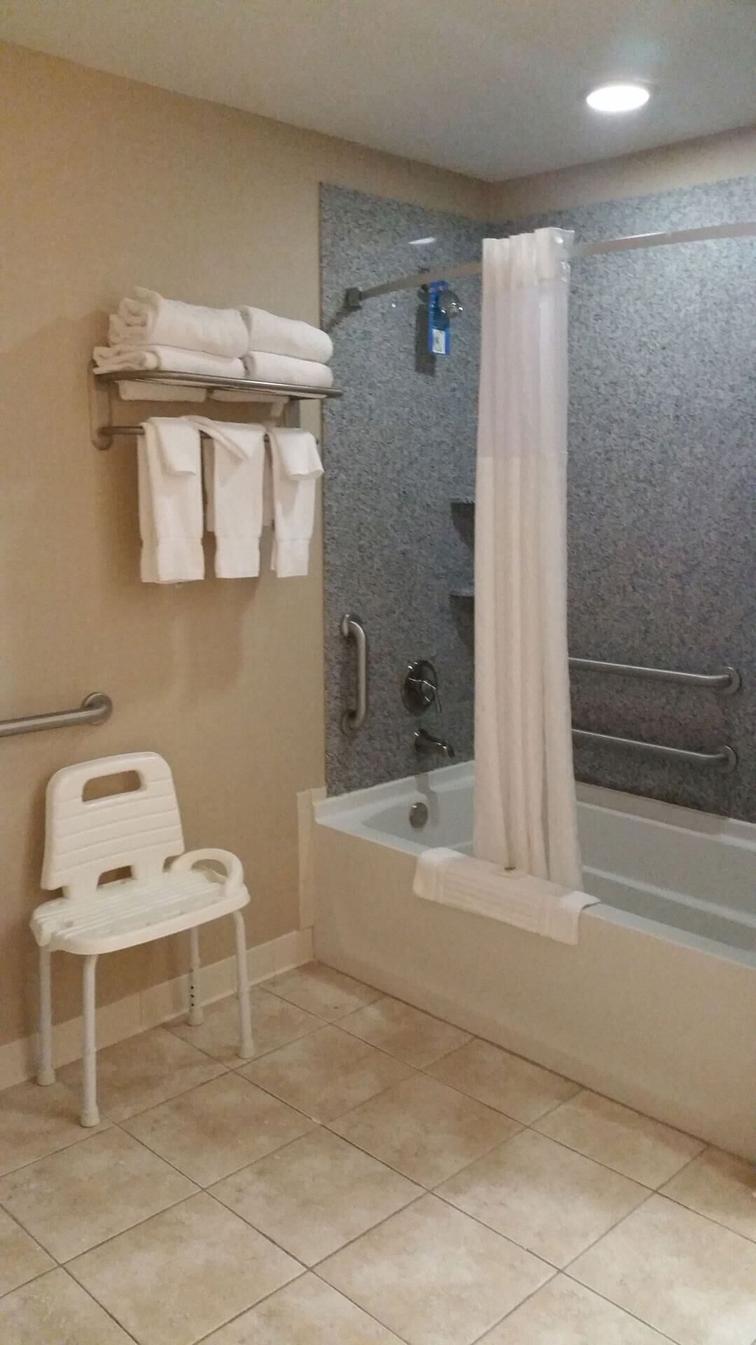 Bathroom | Combined shower/tub, free toiletries, hair dryer, towels