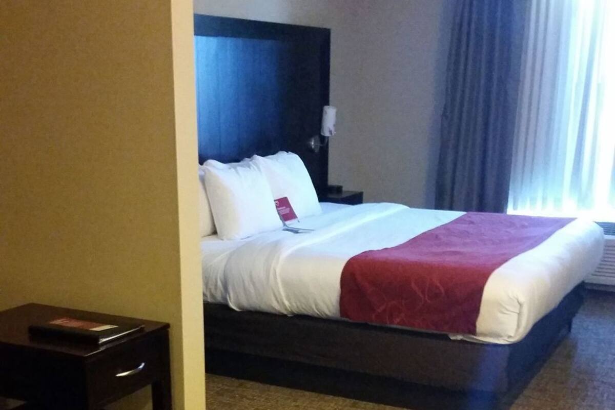 Habitación de hotel con cama, mesita de noche, una pequeña mesa y piso alfombrado.