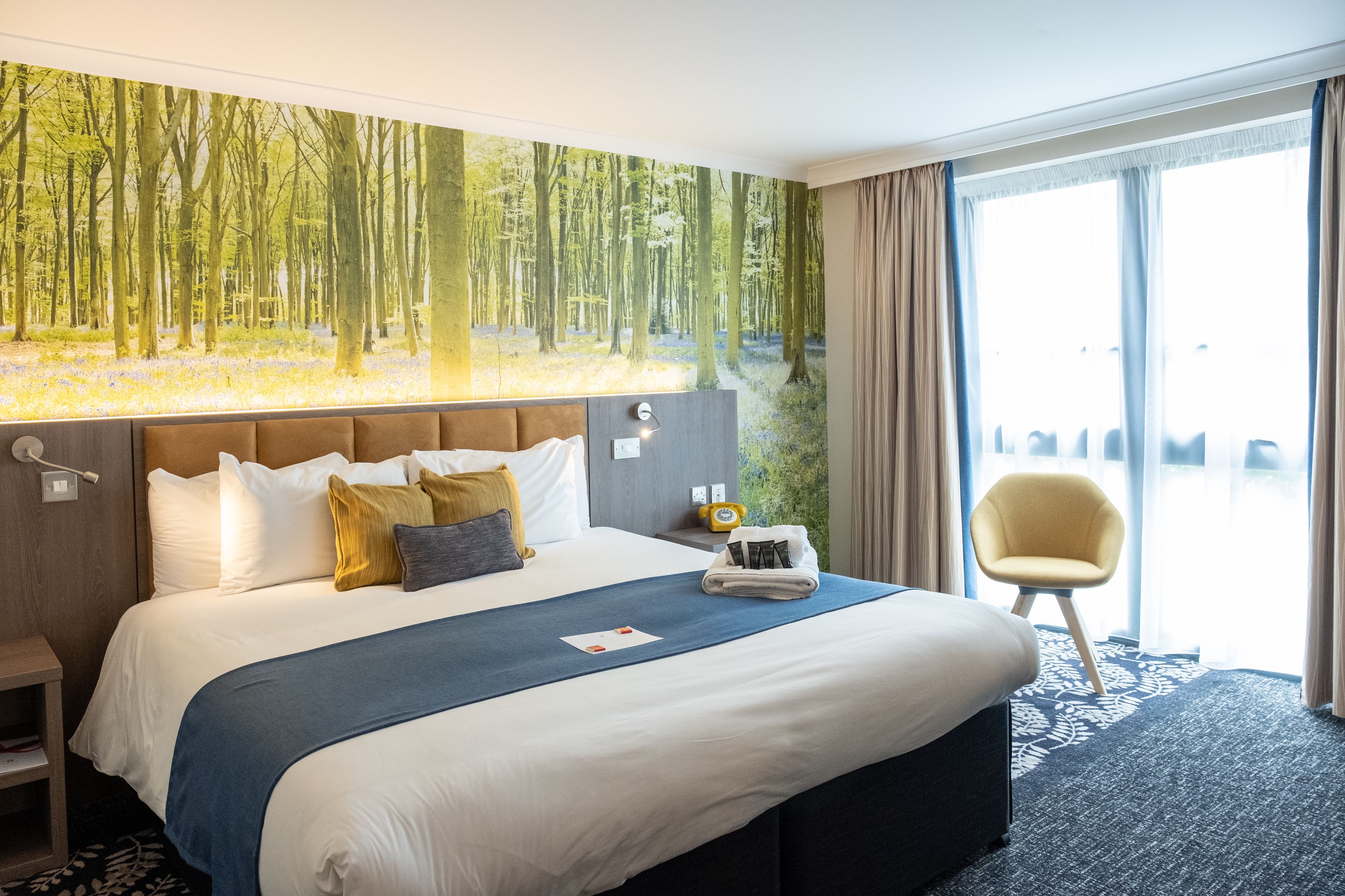 premium bedding, pillow-top beds, individually decorated, desk