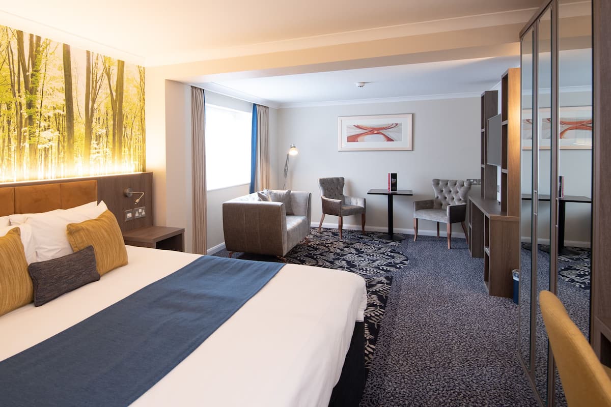 Una camera d'hotel con un letto grande, una scrivania, una sedia e un armadio.