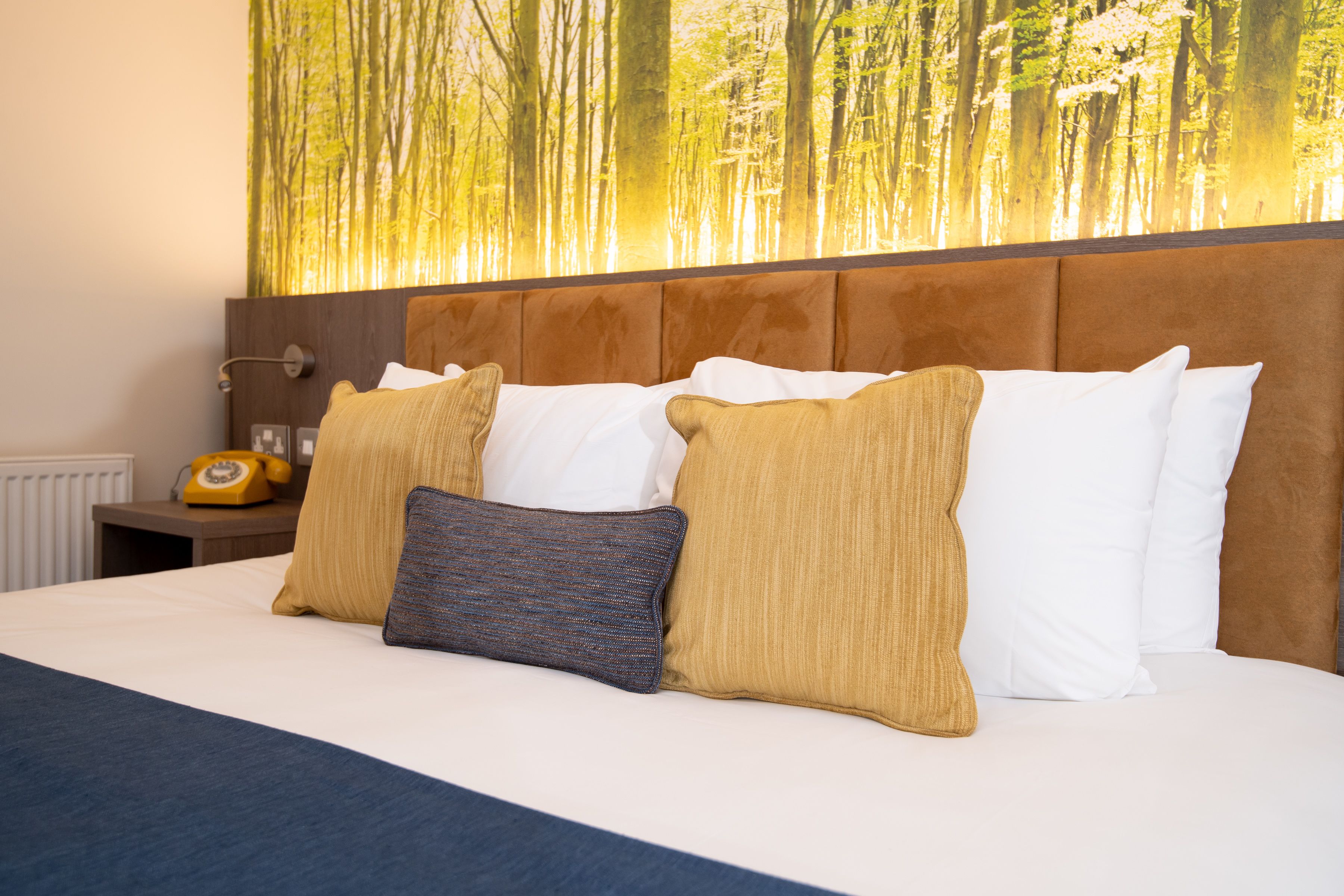 premium bedding, pillow-top beds, individually decorated, desk