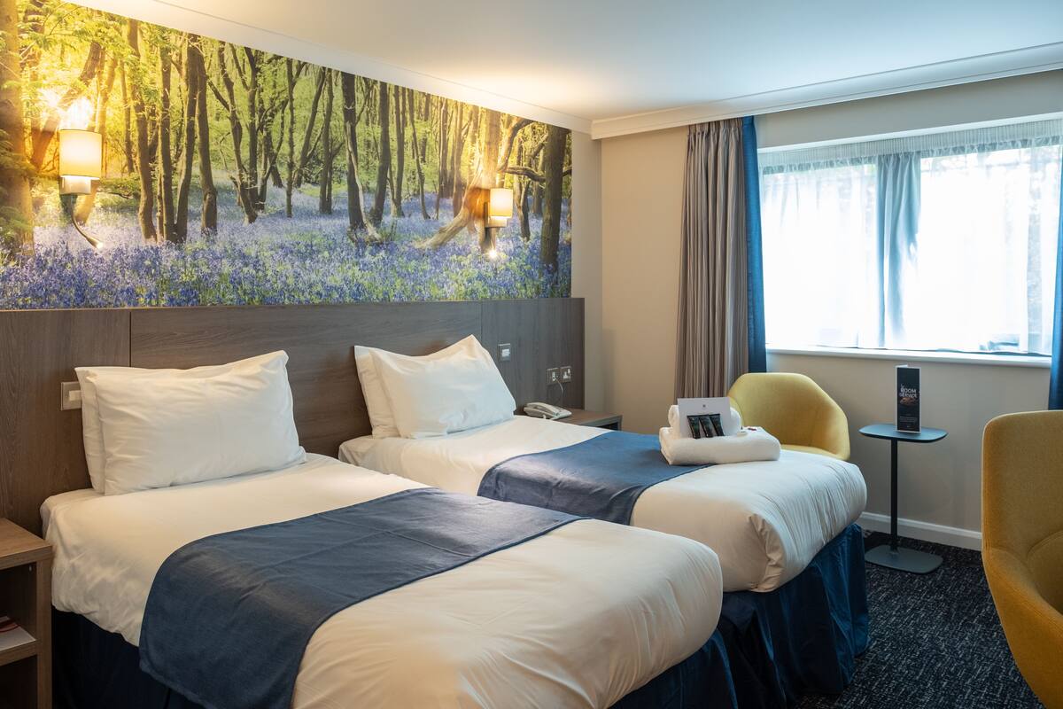 premium bedding, pillow-top beds, individually decorated, desk