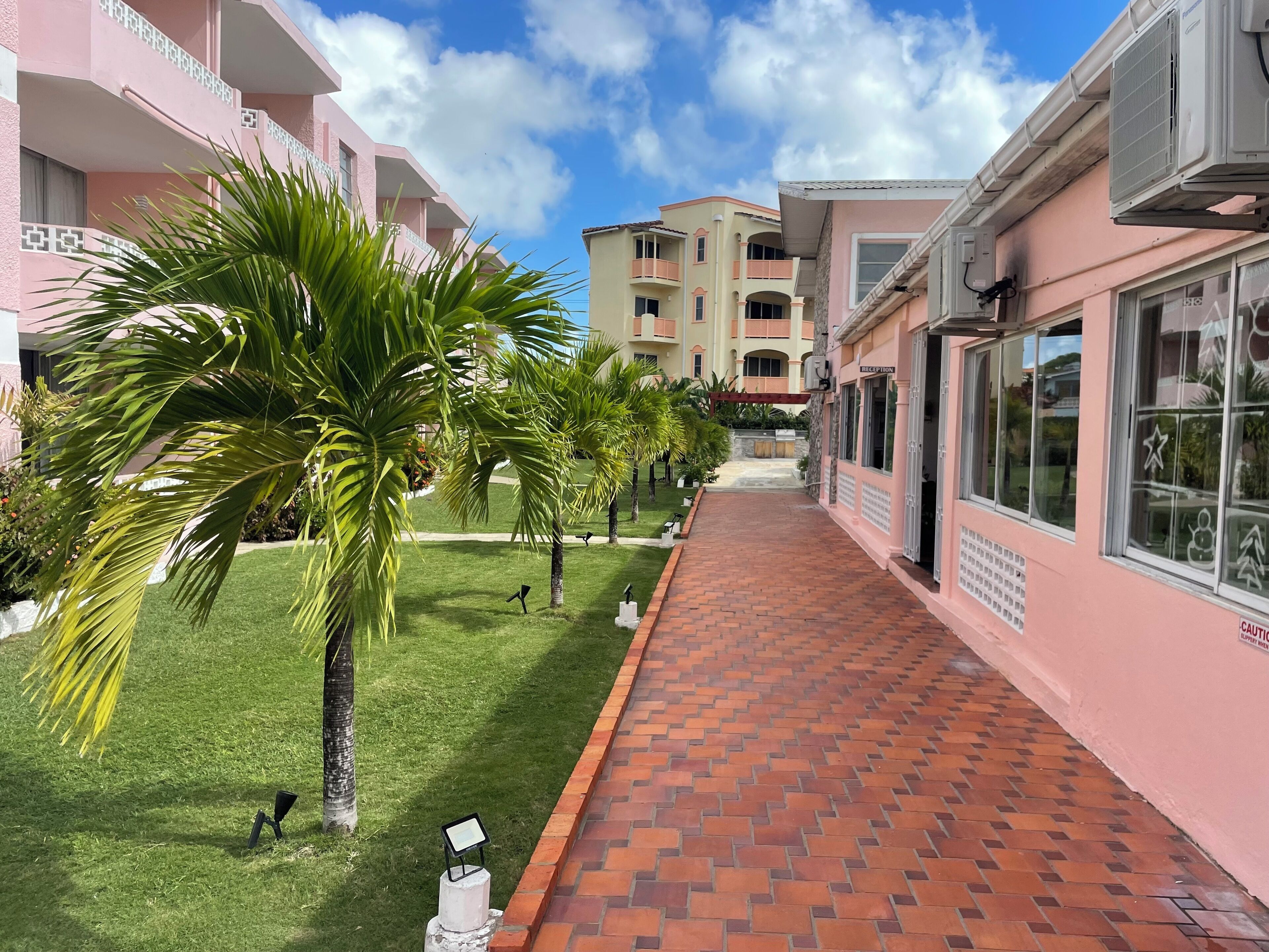 A pathway lined with palm trees leading to a building with a reception area.