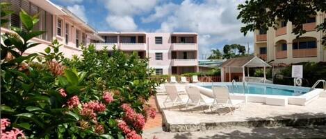 Outdoor pool, sun loungers