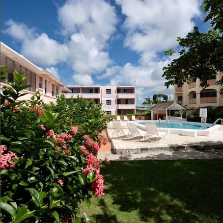 Outdoor pool, sun loungers