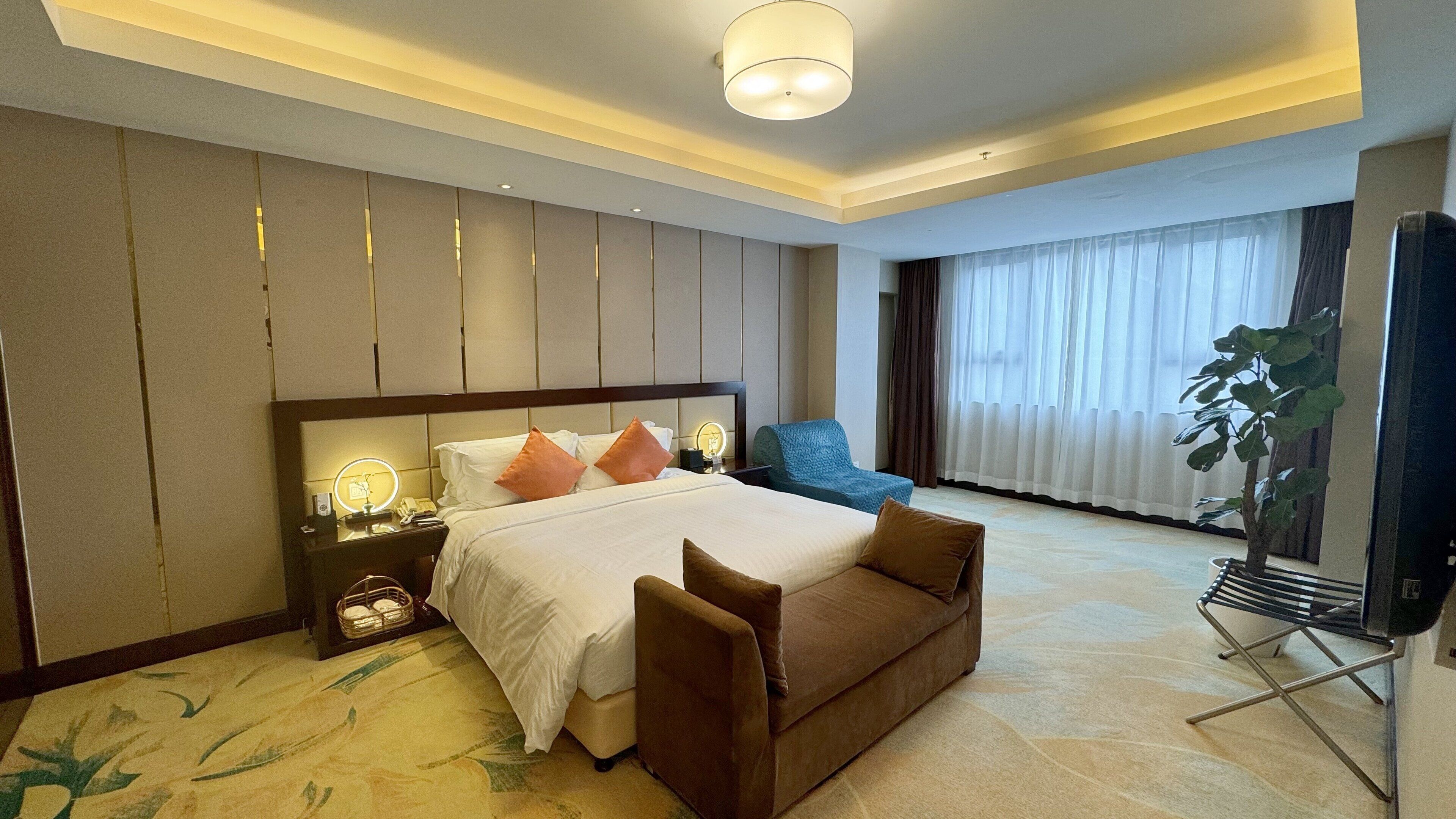 A hotel room with a large bed, a sofa, a TV, and a plant.